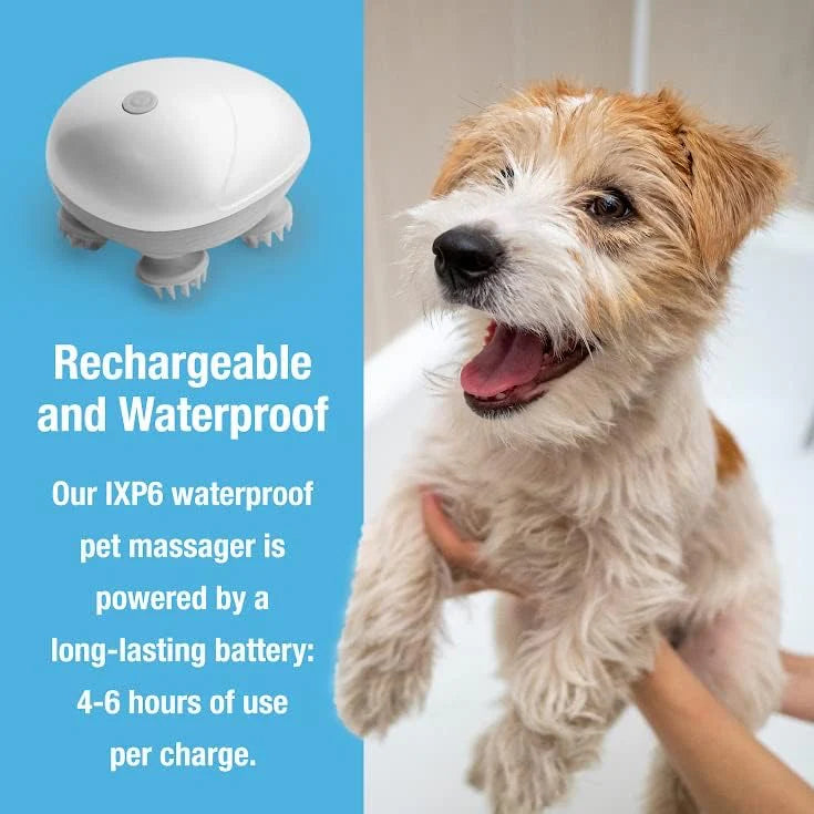 Electric Pet Massager for Dogs & Cats โ Calming & Bonding Companion